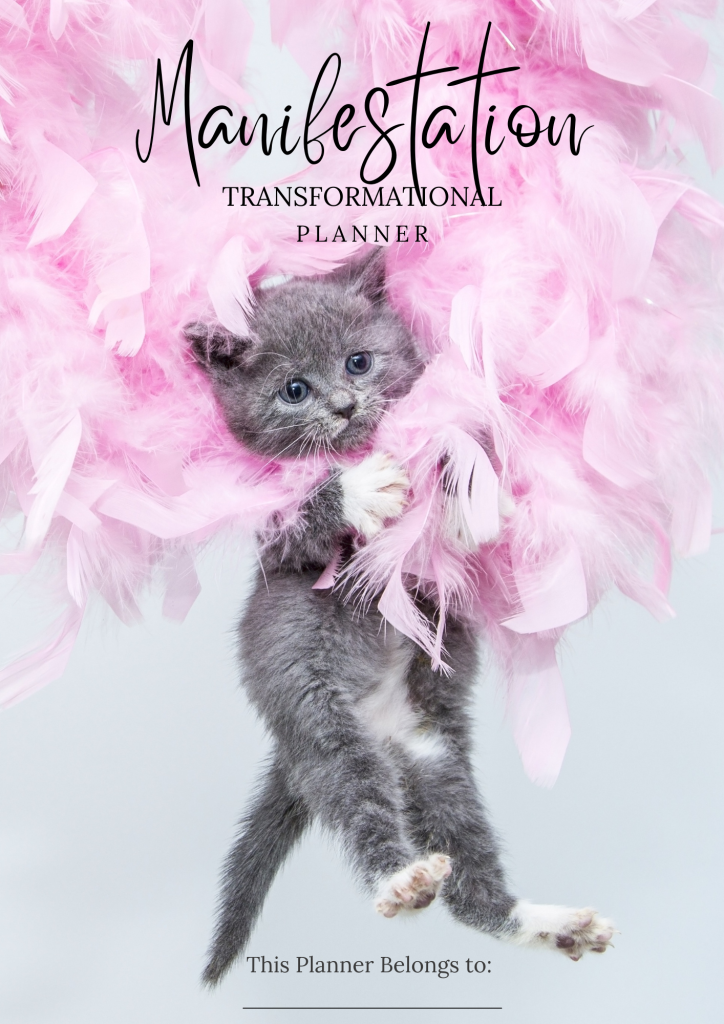 Grey Kitten & Pink Boa Print Digital Manifestation Planner